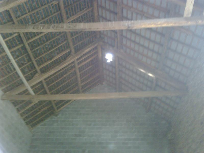 IMG00102-20090706-1621.jpg