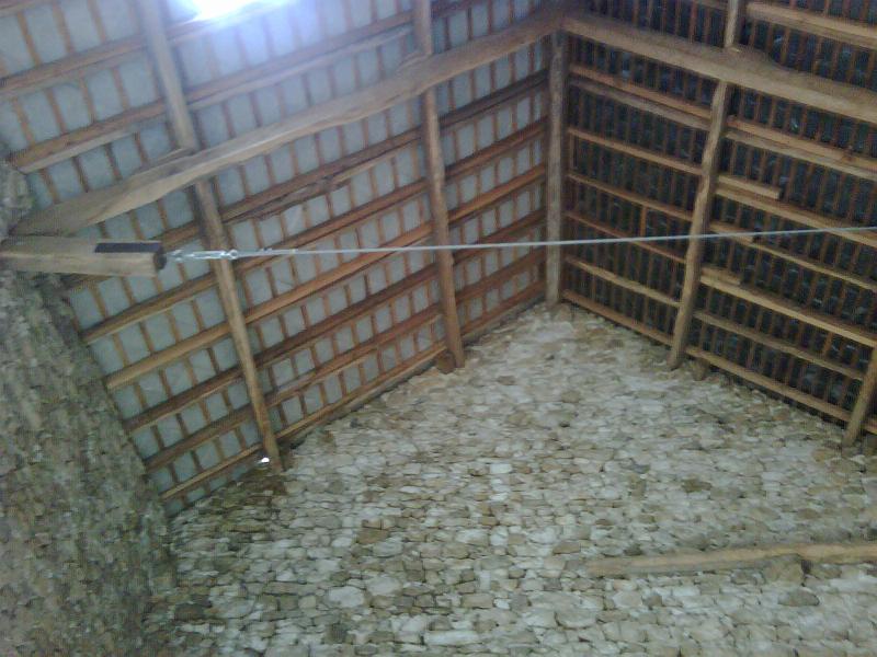 IMG00103-20090706-1621.jpg
